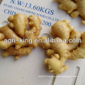 Kosher Laiwu Varieties Of Ginger